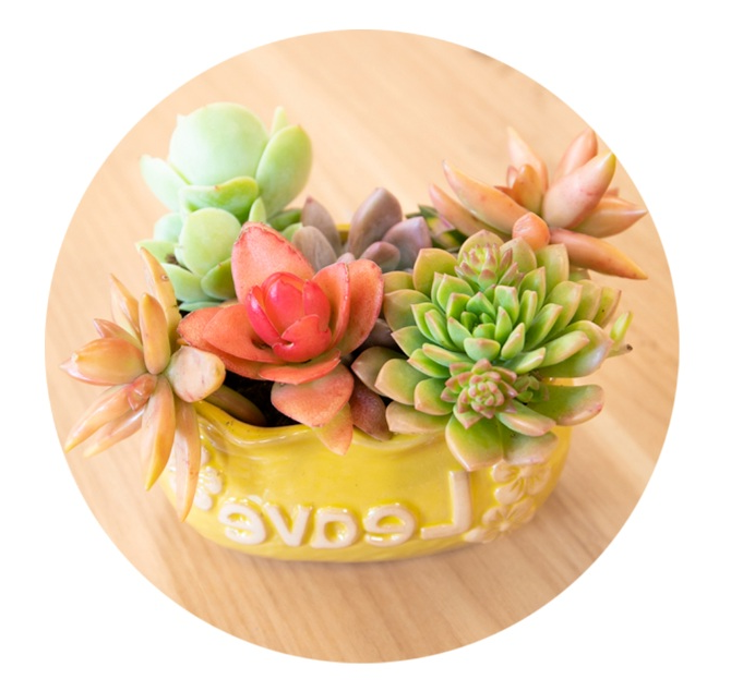 F47872E7-5875-4ded-B698-1E925E1746A8 (1).png